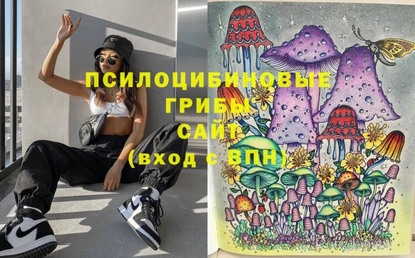 трава Армянск