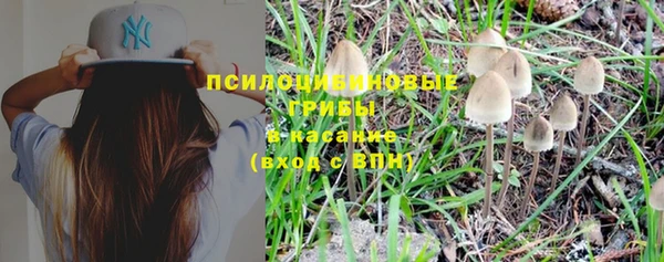 mix Арсеньев