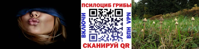 купить  цена  hydra как войти  Галлюциногенные грибы прущие грибы  Чехов 